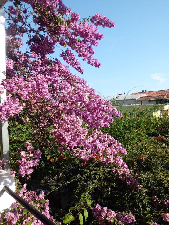 Apartments Viskovic Makarska Exterior foto